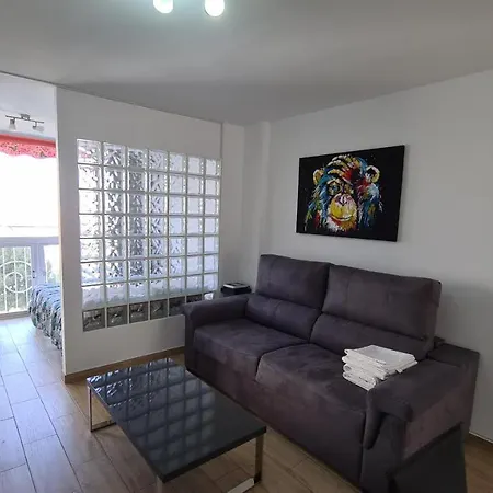 Estudio Playmon Park 10-9 If Apartment Benidorm